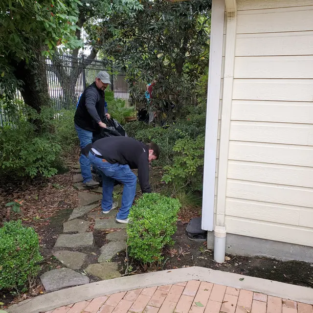 Dinerstein Dinerstein - Slate