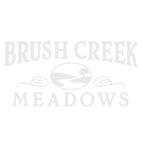 Logo for Brush Creek Meadows featuring stylized text and an illustration of a stream or river.