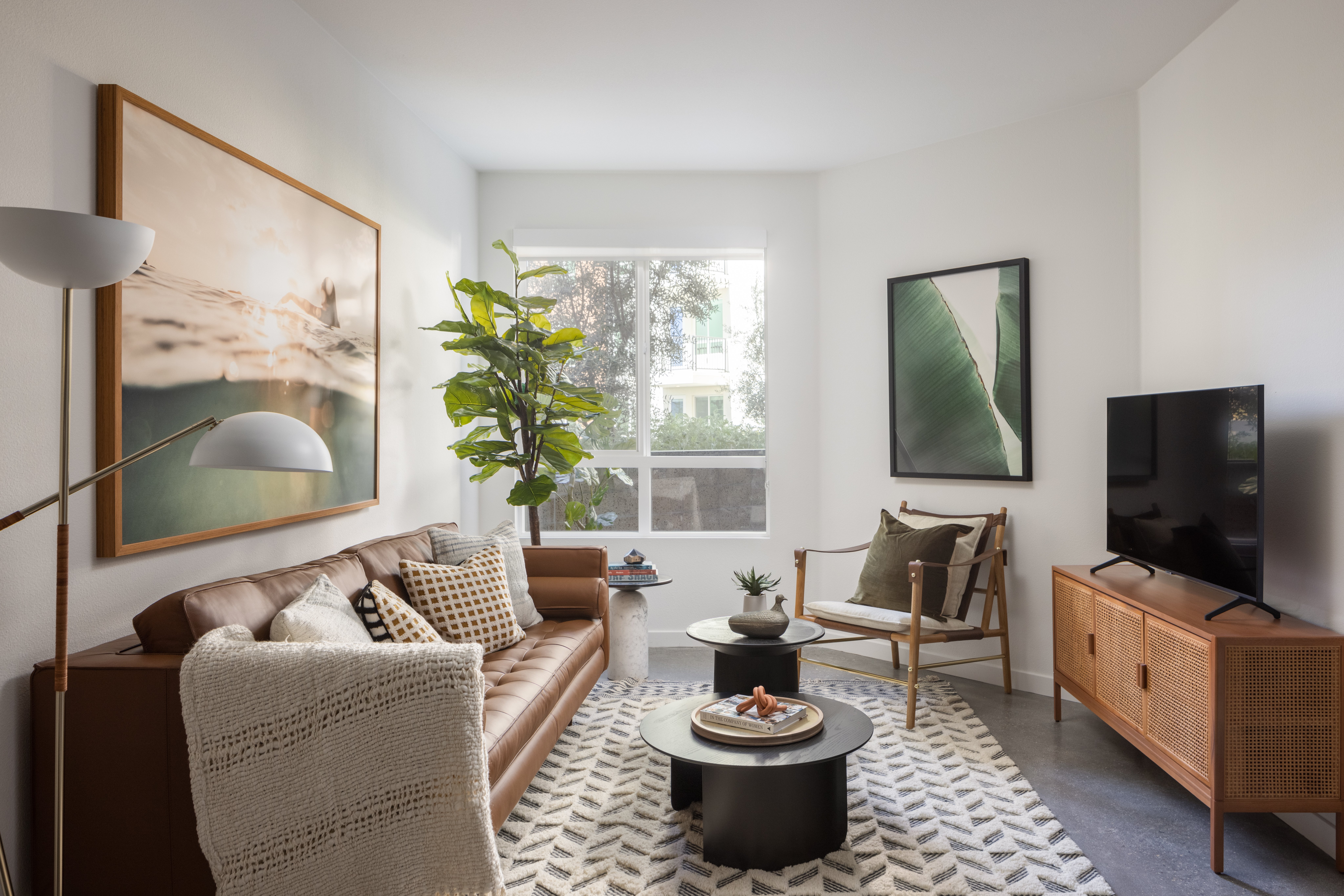 The Society The Society - Room