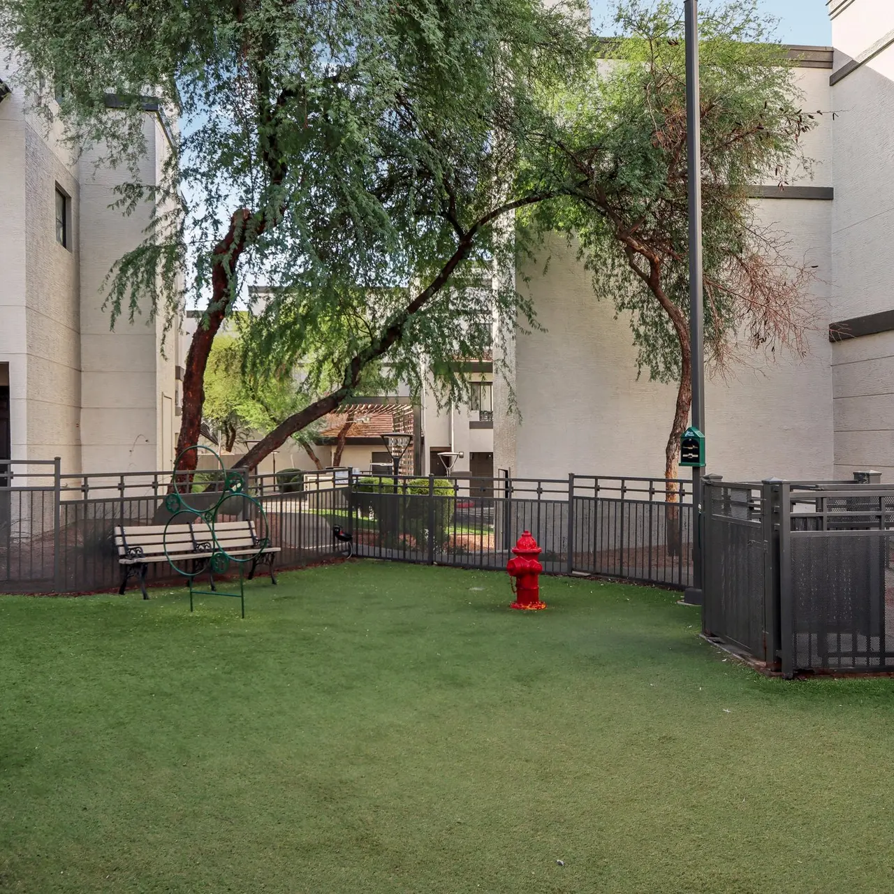 Inspiration - Grass, Backyard, Outdoors