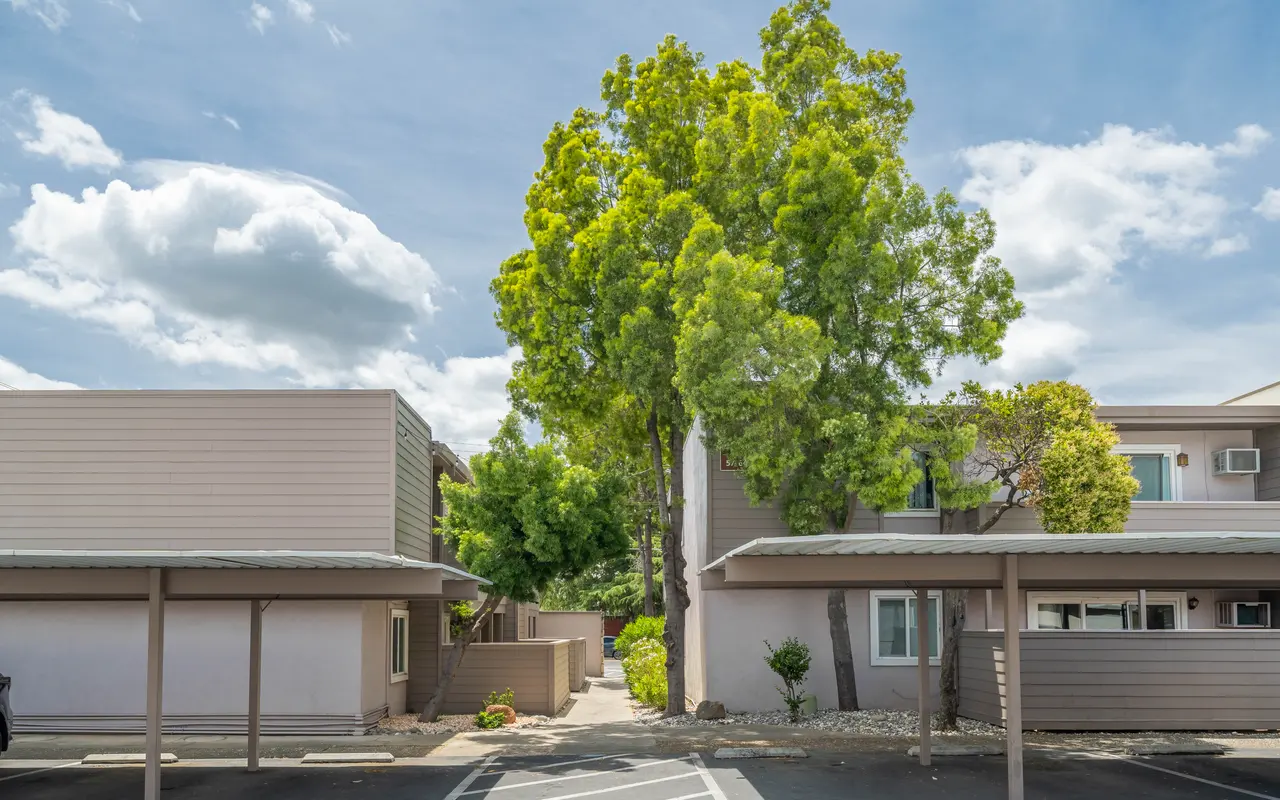 Magnolia Court Apartments - Neighborhood, City, Street