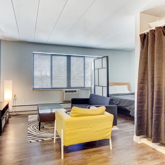 Interior view of a modern apartment featuring a small living area with a black sofa, yellow accent chair, and a bed behind a curtain. Large windows with light filtering through, a television mounted on the wall, and a kitchenette can be seen.