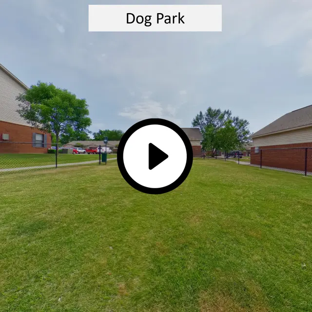 Dog Park