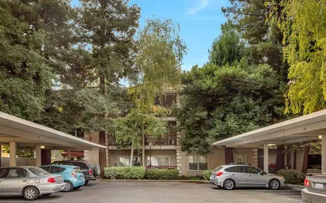 Governor's Terrace - Car, City, Tree