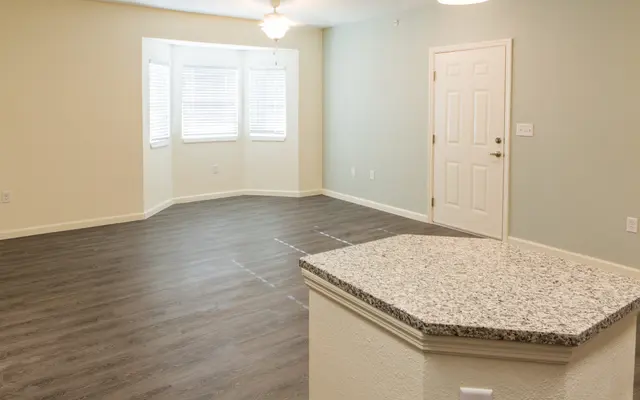 Pinnacle at Hammocks Crossings - Flooring