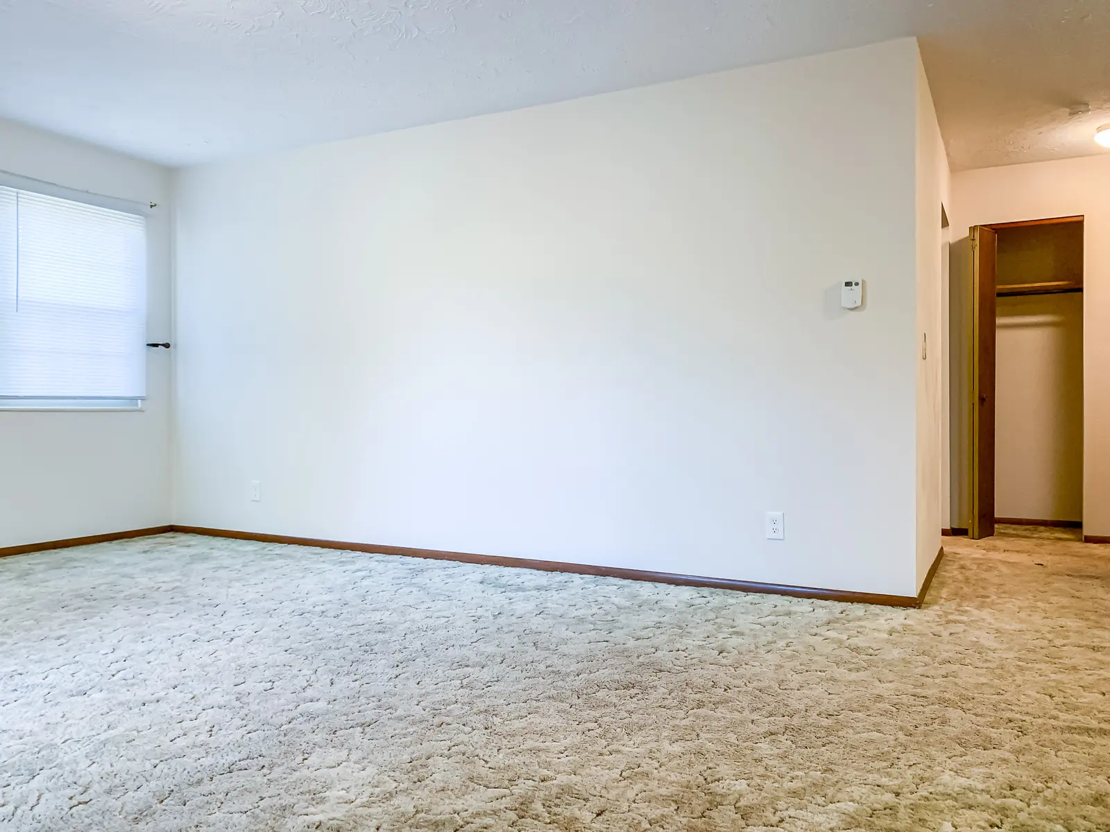 Colony Arms - Corner, Floor, Flooring