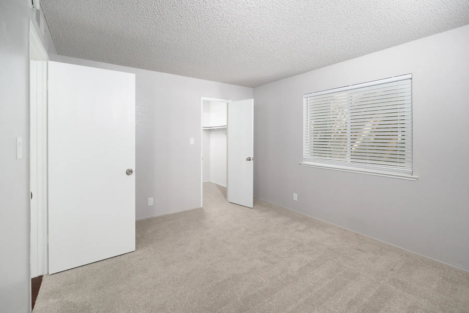 A spacious, empty room with light gray walls and plush beige carpet. One wall features a closed closet door, while another wall displays a window with white blinds. Bright and minimalistic design gives a sense of openness.