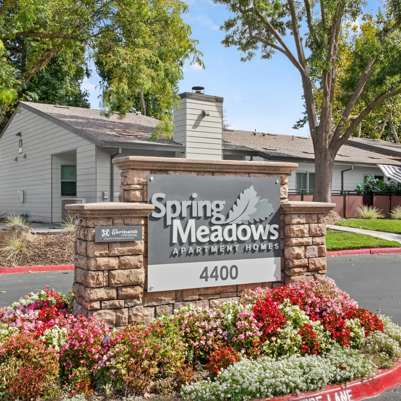 SpringMeadowsComm-01.jpg
