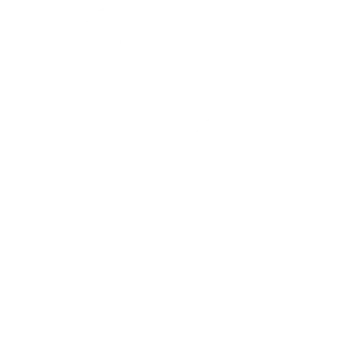 Shopping Bags Icon Two shopping bags, one larger and one smaller, in a simple outline design.