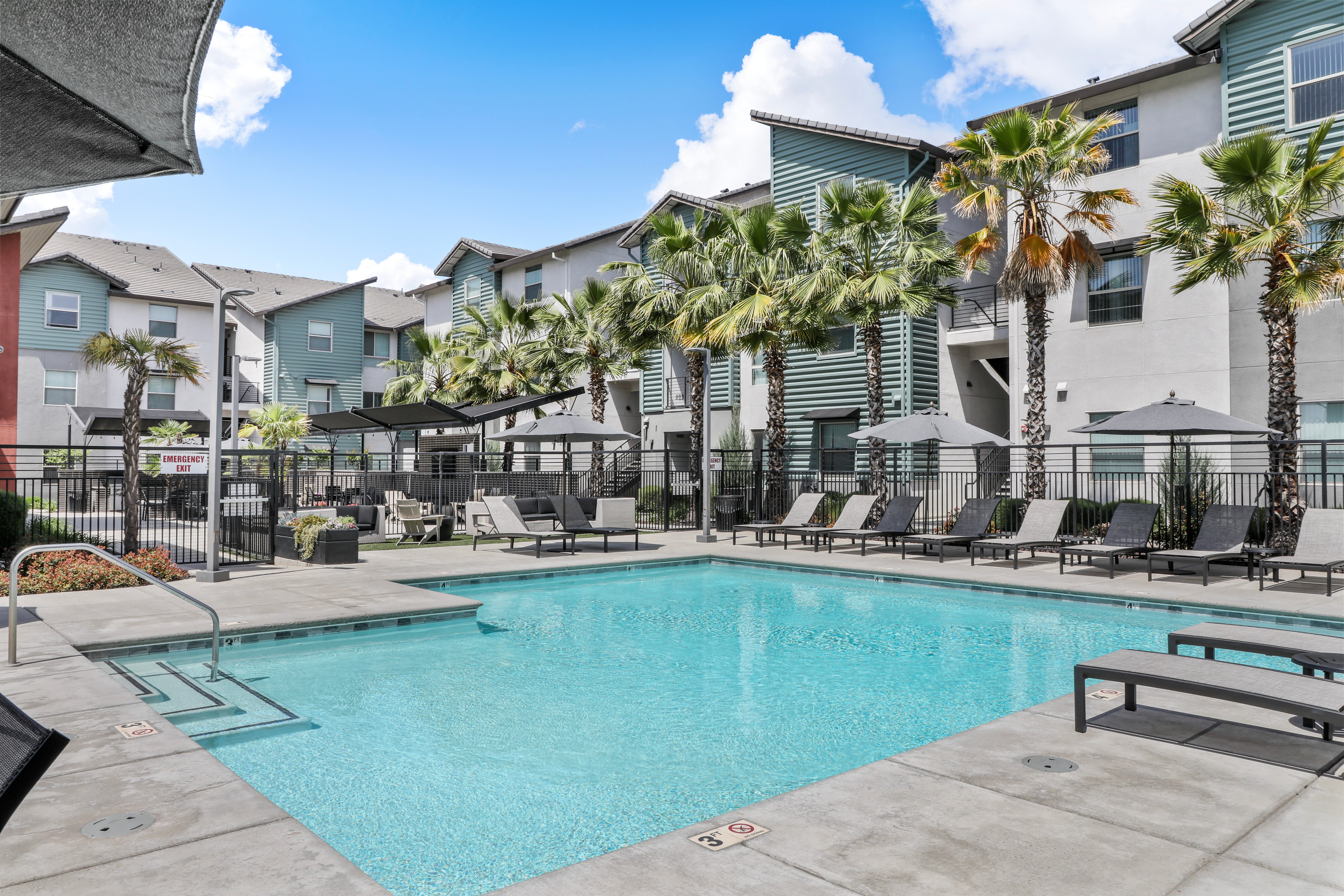 Outdoor Pool Area at an Apartment Complex A sparkling outdoor swimming pool surrounded by palm trees and lounge chairs, with modern apartment buildings in the background.