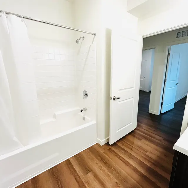 Vistara II - 21.jpeg