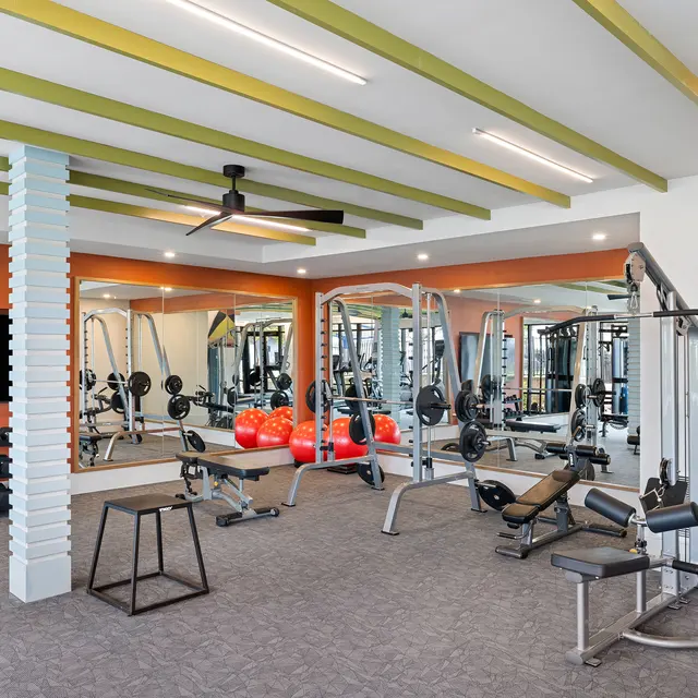 A modern gym interior featuring workout equipment, mirrors, and a television. The gym has a warm color scheme with green ceiling beams and an orange accent wall.