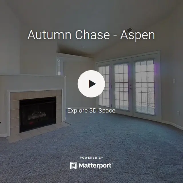 Autumn Chase - Aspen