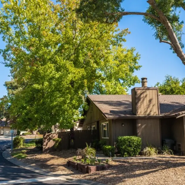 Rollingwood Duplexes - Road, Tree