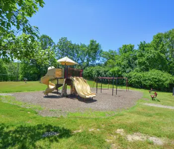 A bright playground featuring slides and swings set in a grassy area with trees in the background.
