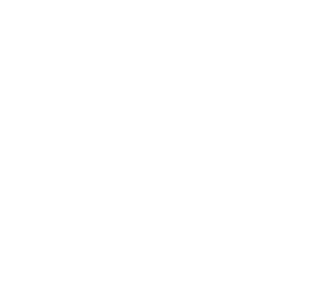 Madison Development