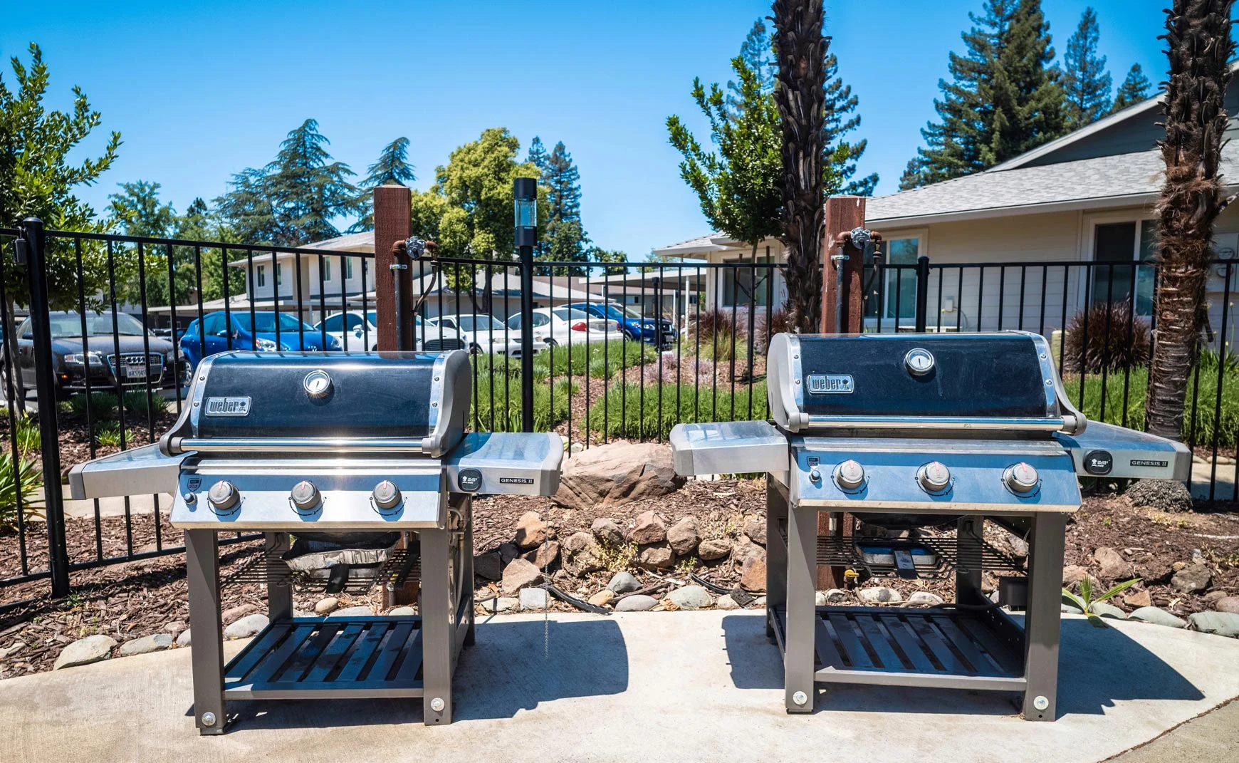 Sierra Square - Bbq, Food