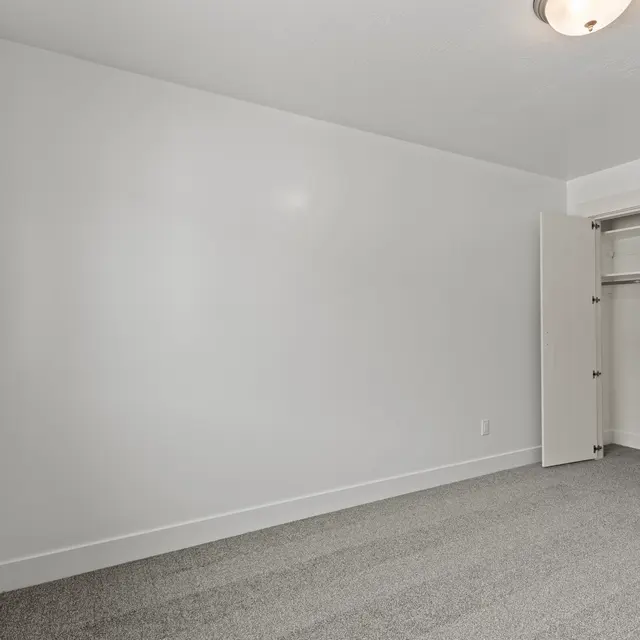 A spacious, empty room featuring light grey carpet, a large window letting in natural light, and an open closet with shelves.
