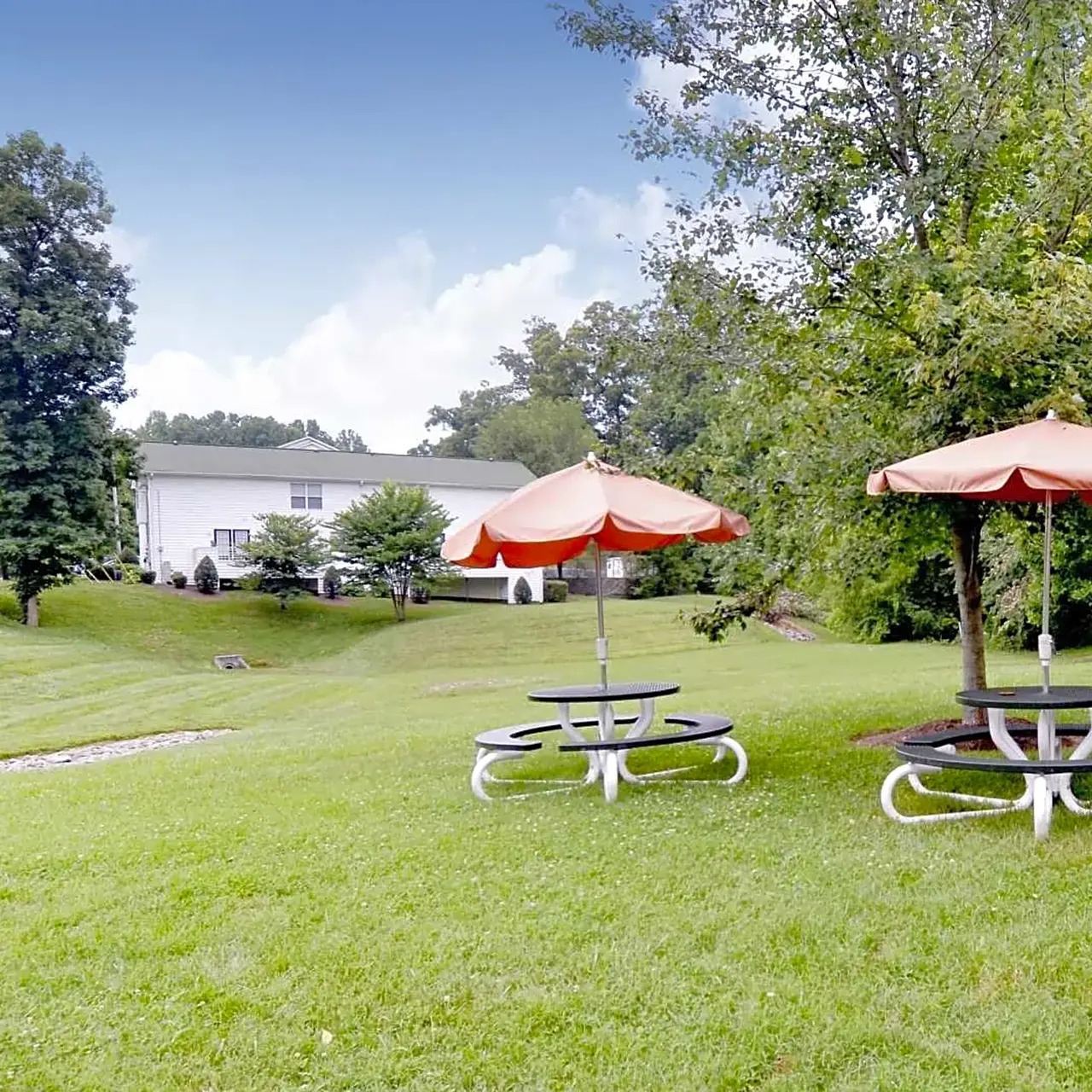 East Forest Park - Nature, Outdoors, Scenery