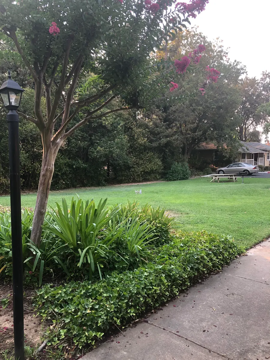 Myrtle Creek - Grass