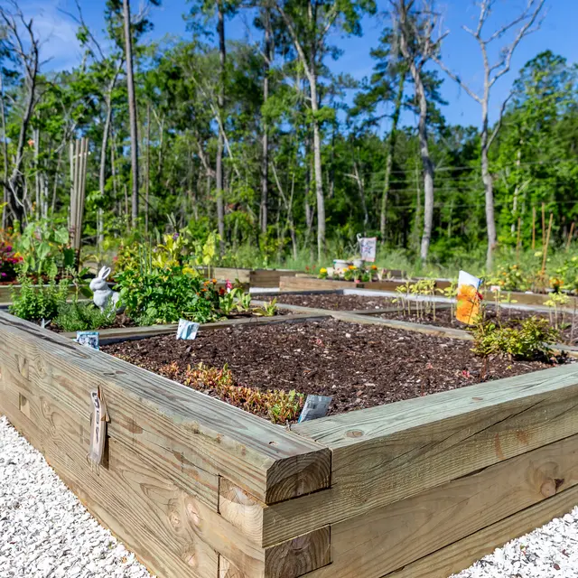 Rochester Park - Jar, Planter, Potted Plant
