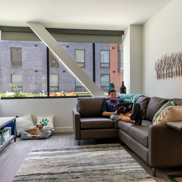 505 on Walnut - Home Decor, Furniture, Living Room