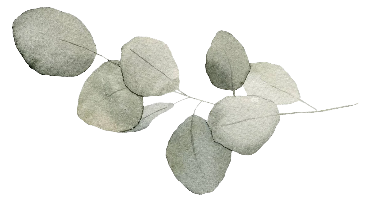 The Cambridge - Leaf, Art, Person