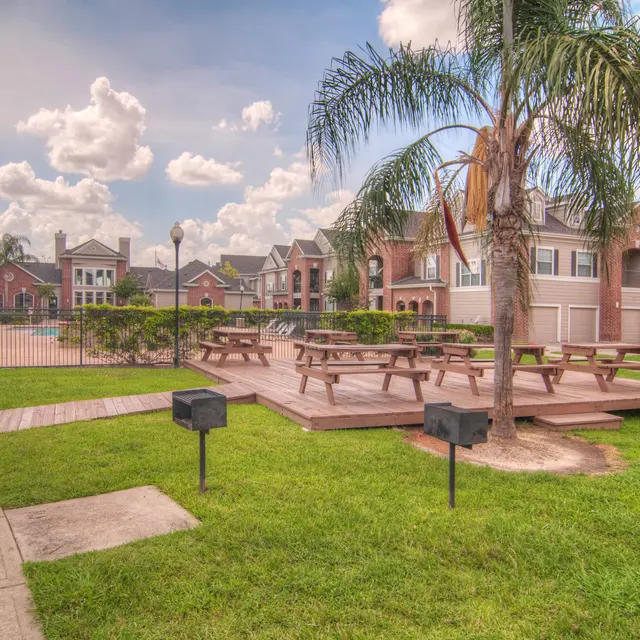 Little Nell - Grass, Neighborhood, Nature