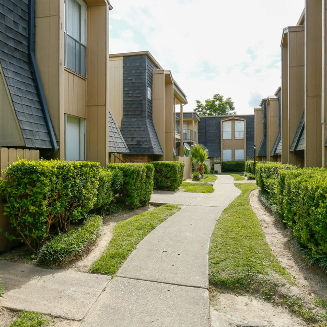 Pine Forest Place & Park - Bush, Path