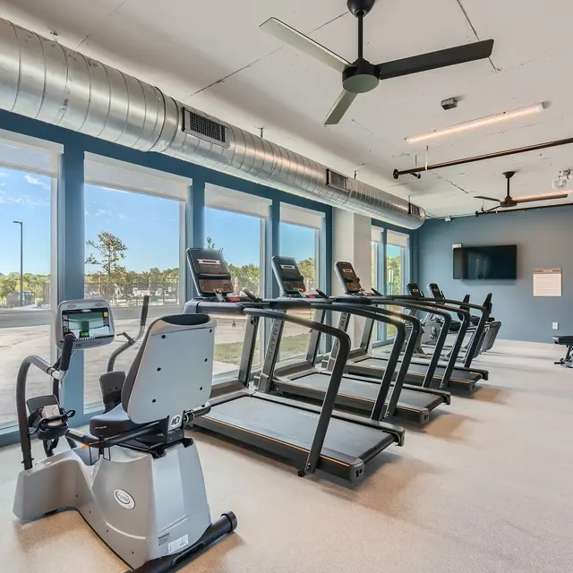A bright and spacious indoor gym featuring exercise equipment such as treadmills and a stationary bike, large windows letting in natural light, and modern decor.