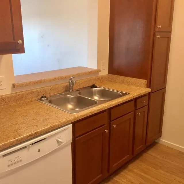A compact kitchen featuring a granite countertop with a double sink, a dishwasher below the counter, and wooden cabinets above and beside it. The kitchen has a light-colored wall and wooden flooring, creating a warm and inviting atmosphere.