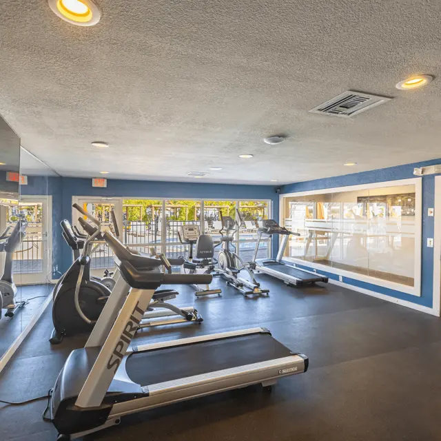 Gym Interior Interior view of a gym with treadmills and exercise equipment.
