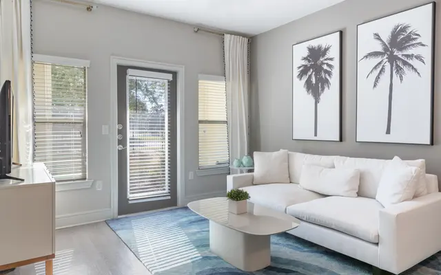 Interior of Vera Apartments in Jacksonville FL - Home Decor, Living Room, Furniture