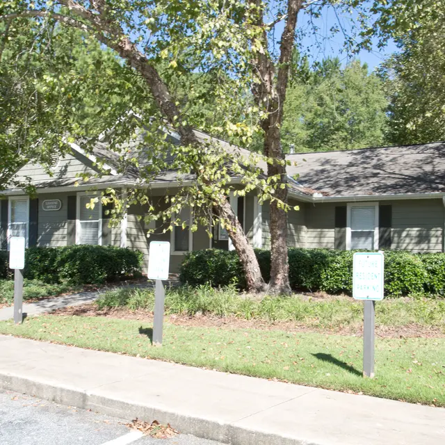 Tree Tops - Tree, Neighborhood, Sycamore