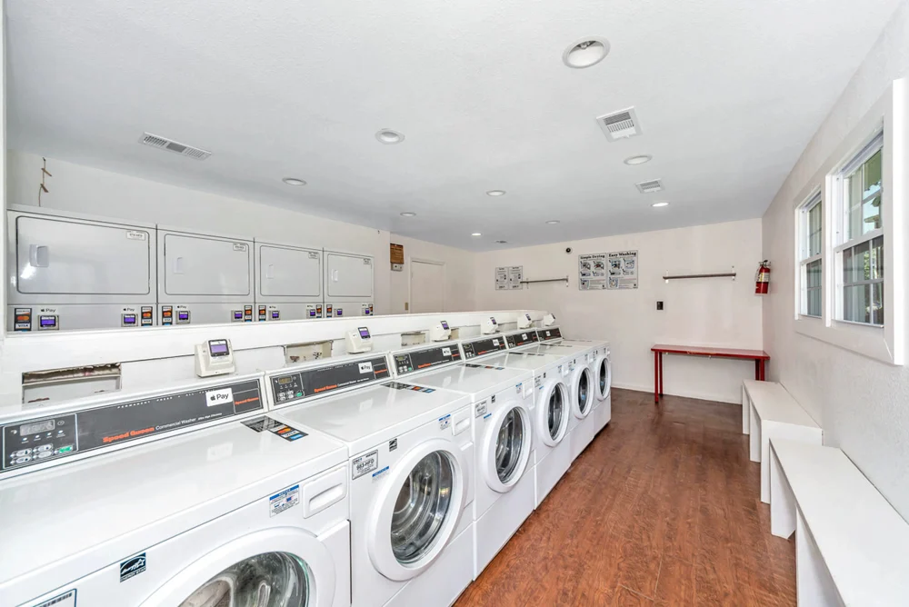 TrinityMeadows18.jpg Laundry, Washer, Device