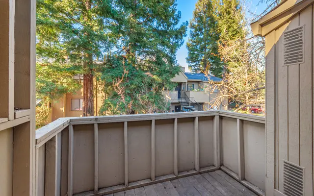 Donner at Fair Oaks - Nature, Outdoors, Scenery