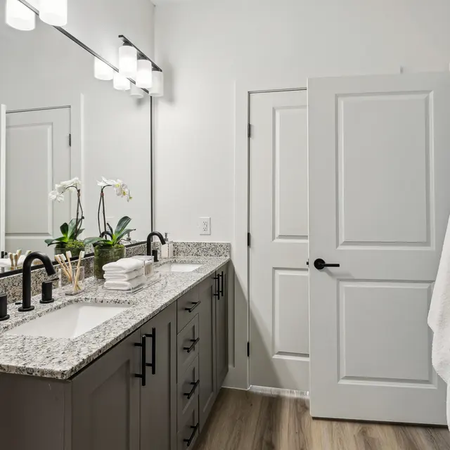 The Sophie - Sink, Sink Faucet, Indoors