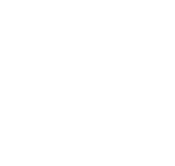Maestro