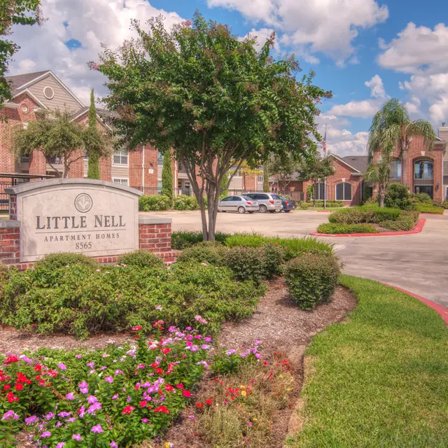 Little Nell - Neighborhood, Suburb, Grass