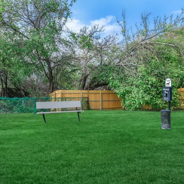 Grass area in the dog park at Aviva at North Plaza, with a small stream running through it, along with trees and a walkway.
