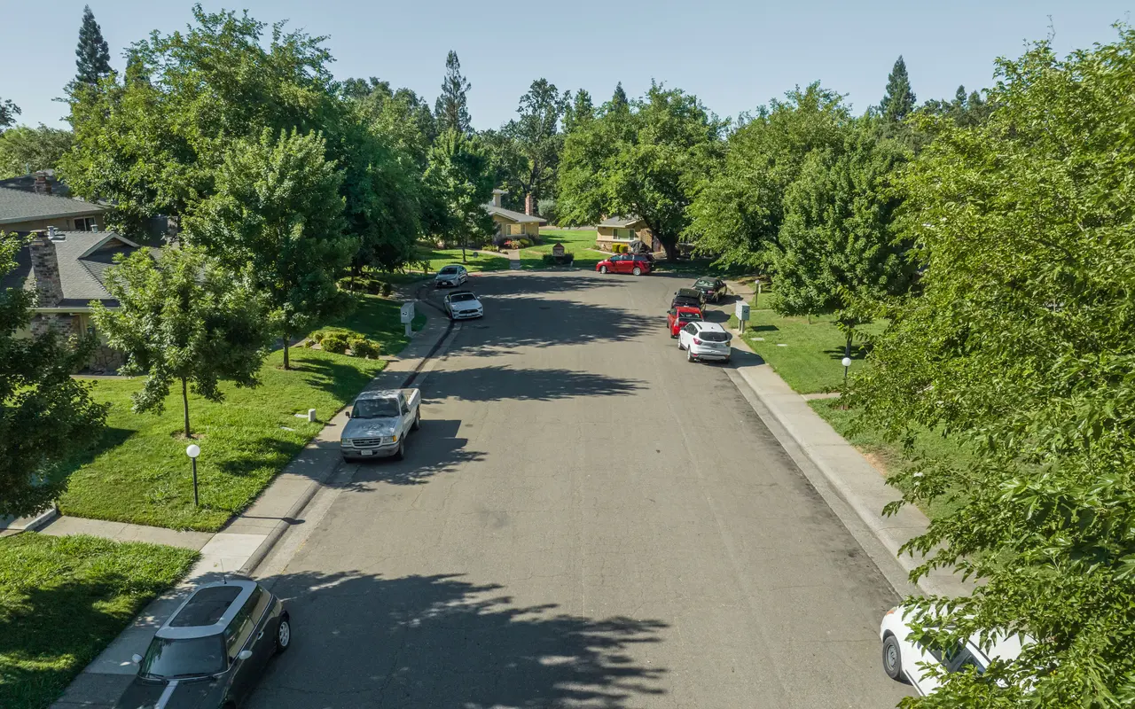 Queenston Plaza - Road, Outdoors, Tree