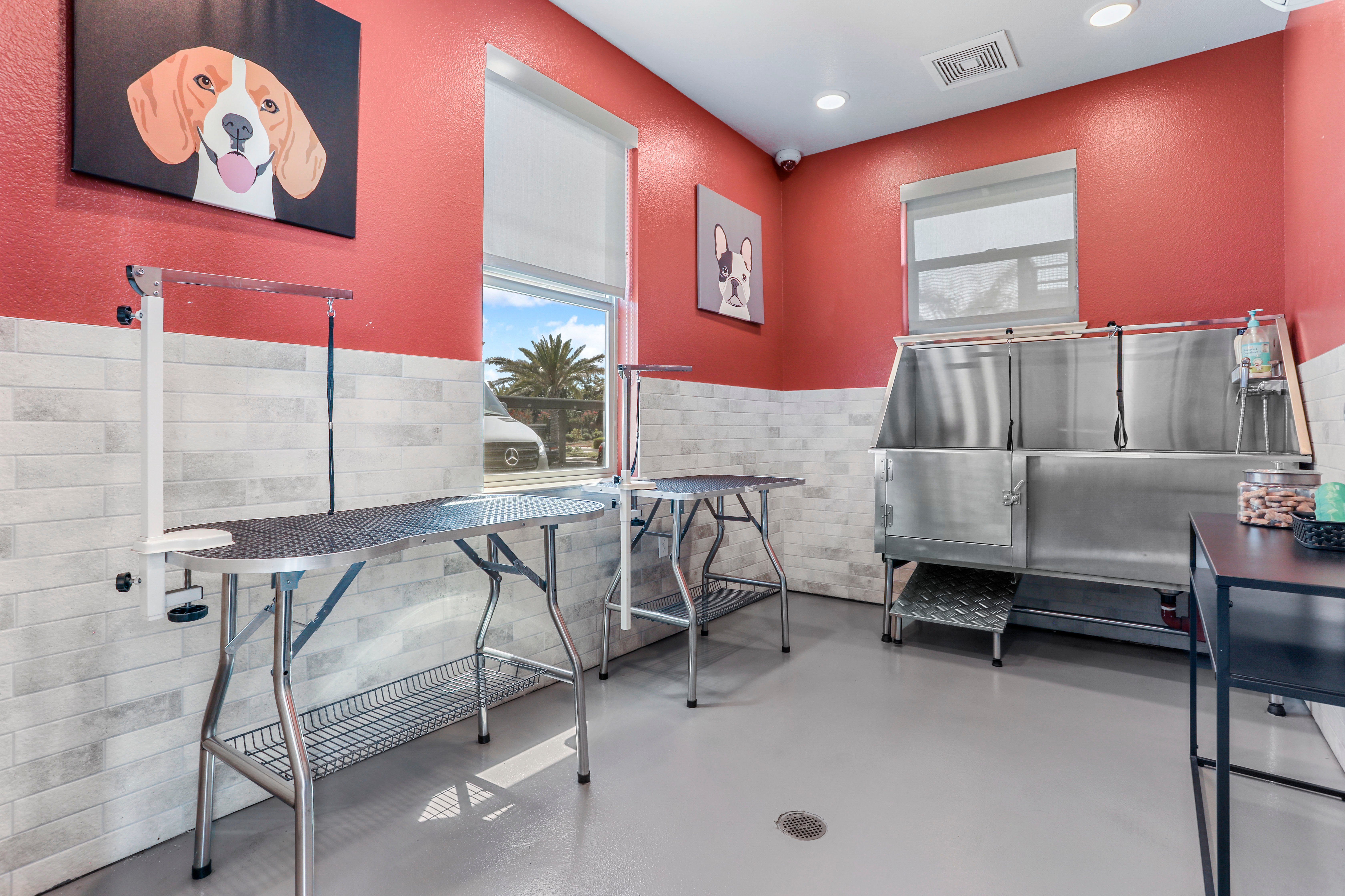 Tesoro Apartments - Furniture, Table, Indoors