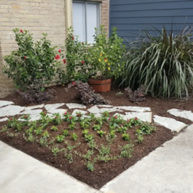 Grove on Gladstell - Soil, Landscape, Nature
