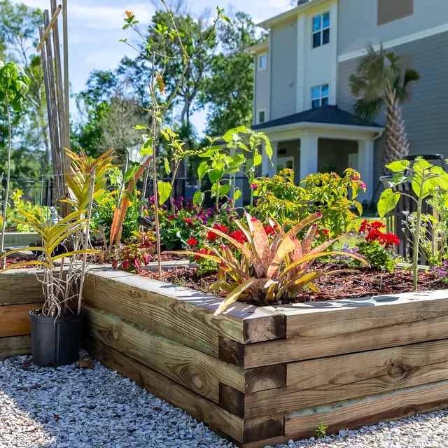 Rochester Park - Potted Plant, Jar, Planter