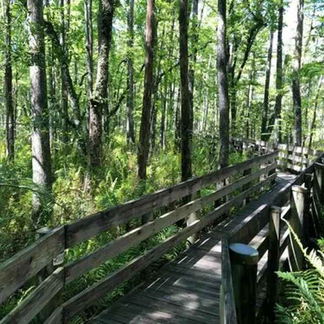 Oasis Grand - Path, Trail