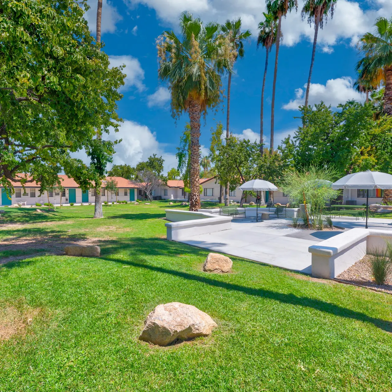 Echelon Echelon - Grass, Plant, Summer