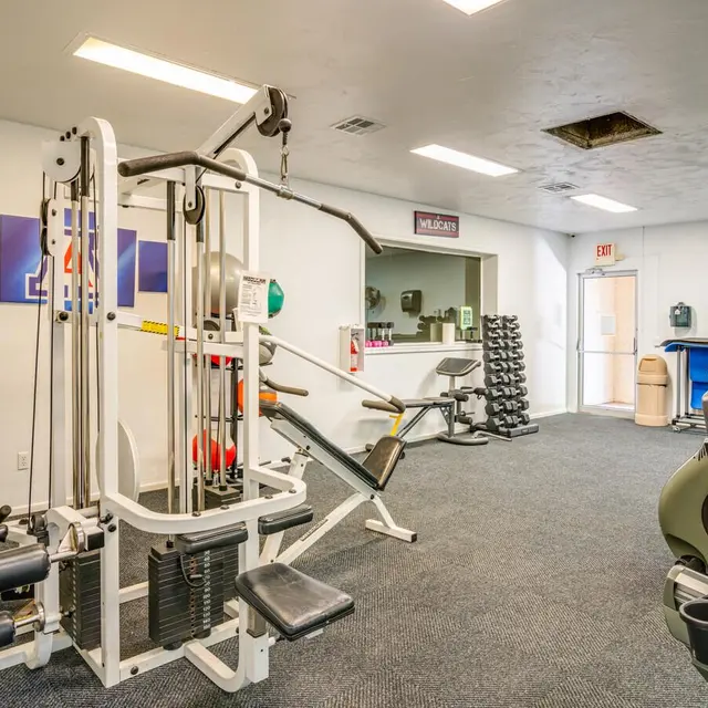 Sandstone - Working Out, Fitness, Gym