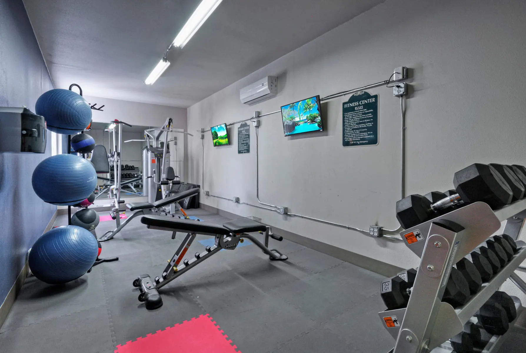 West Campus Lofts - Evian - Working Out, Fitness, Gym