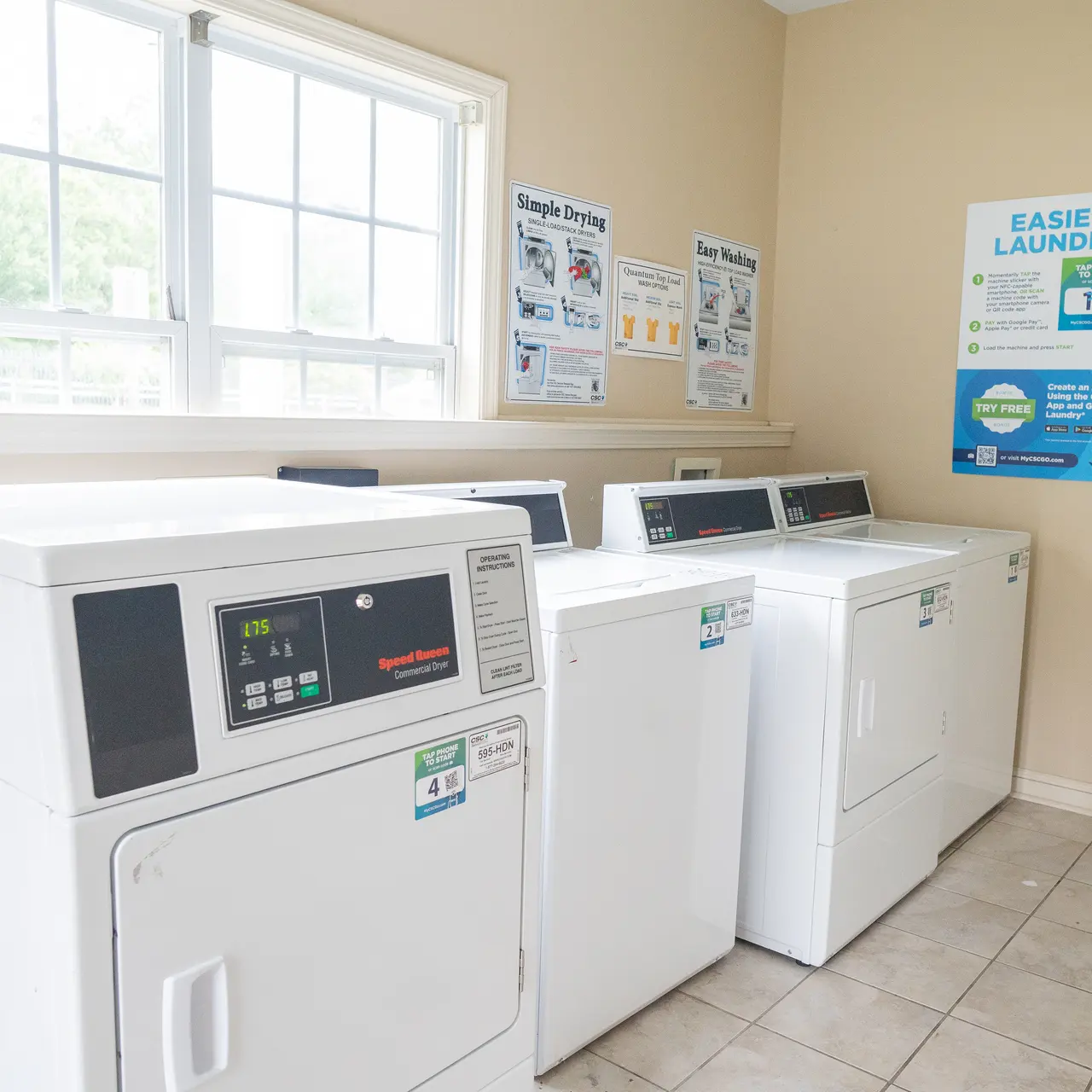 Crown at Steeplechase