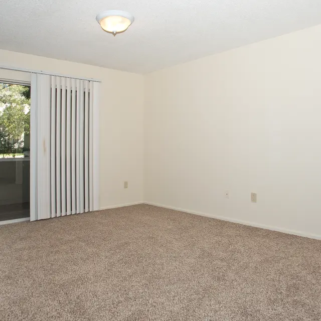 Tree Tops - Corner, Floor, Flooring